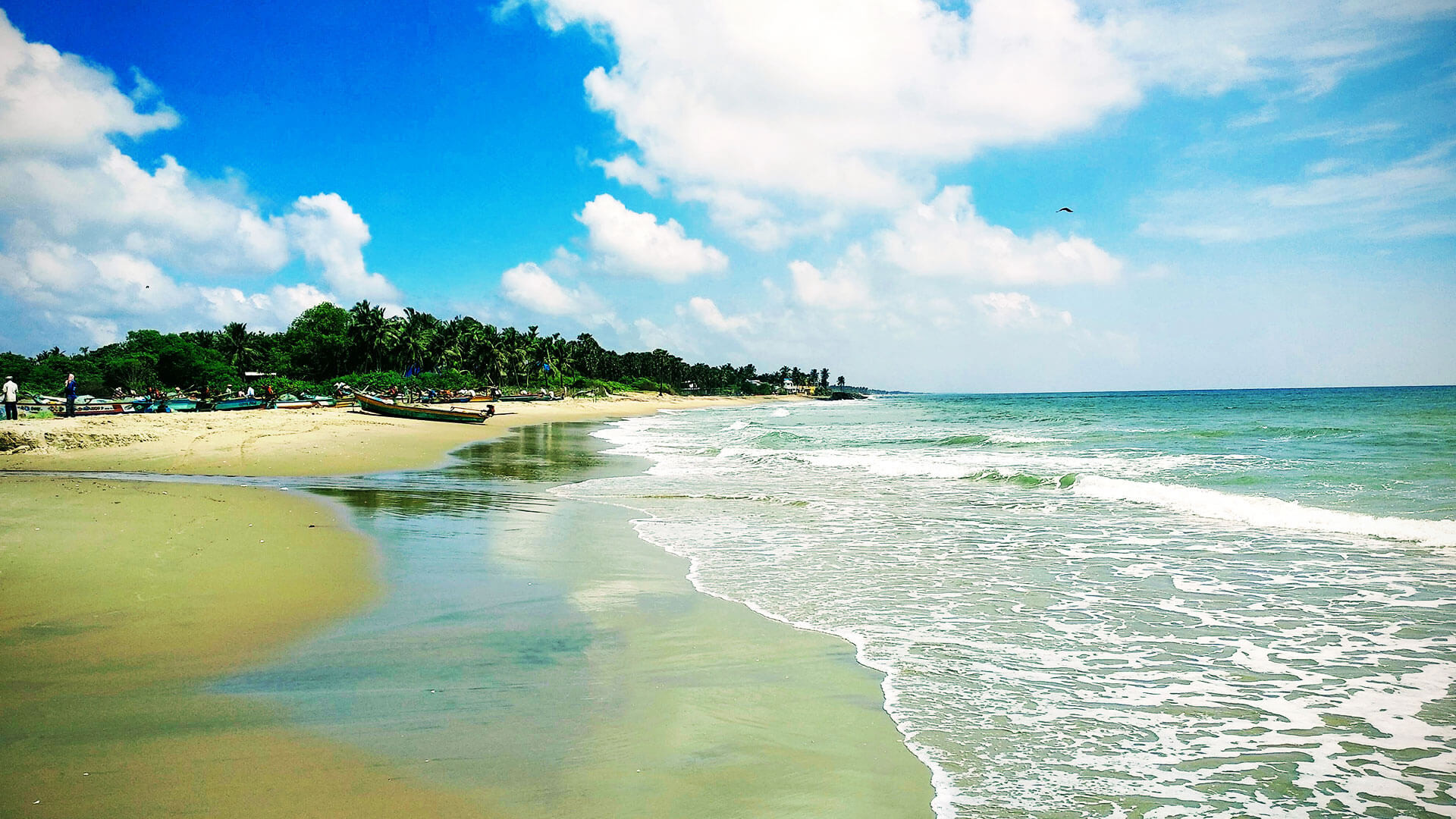 serenity at north forest beach
